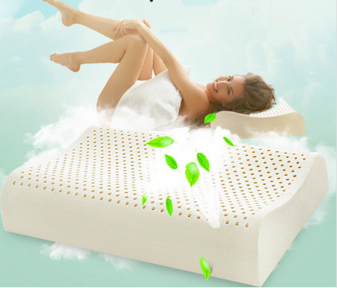 Sleep Spa Dream Contour Talalay Latex Pillow