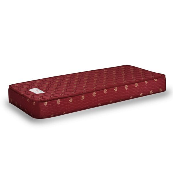 orthopaedic coir mattress