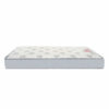 spine support dual comfort mattress