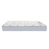 spine support dual comfort mattress spine support dual comfort mattress