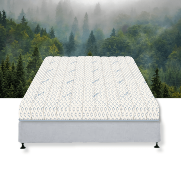 talalay latex mattress