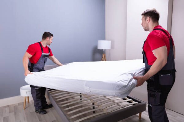 Free Mattress Delivery in India sleepspa