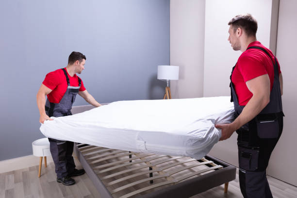 Free Mattress Home Delivery