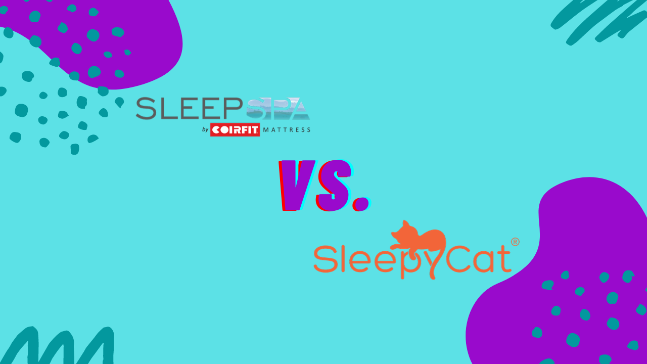 Sleepycat mattress vs sleep spa mattress