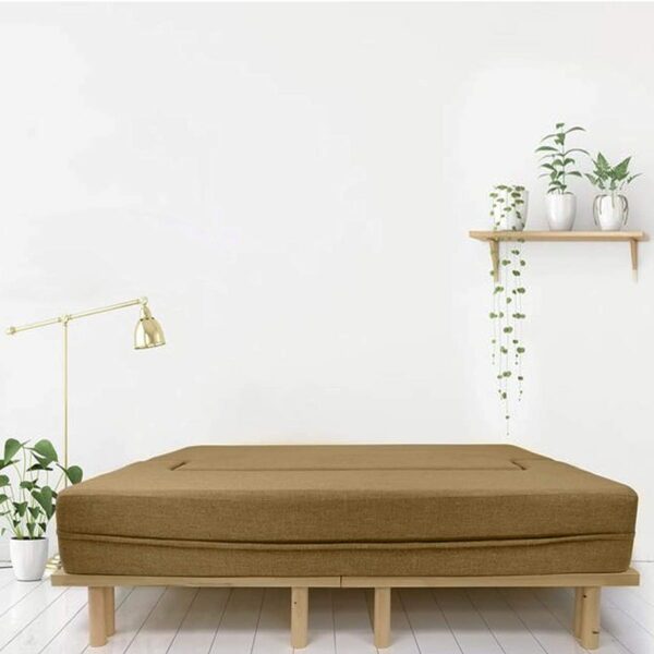 coirfit-sofa-cum-bed-1